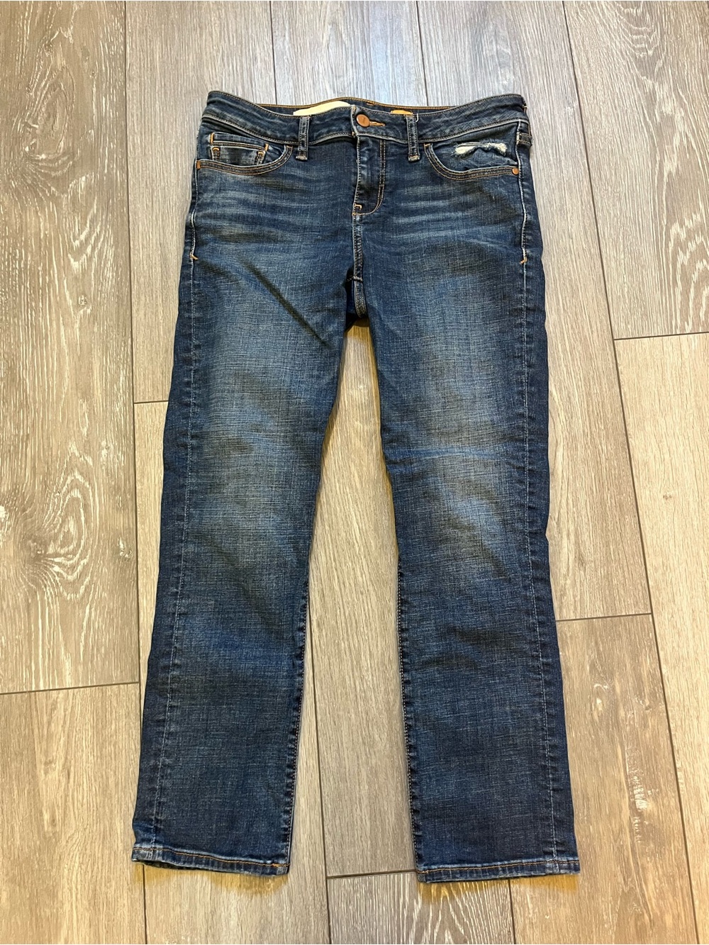 Anthropologie Pilcro & the Letterpress SJEJ Sophia Straight Denim Jeans size 26